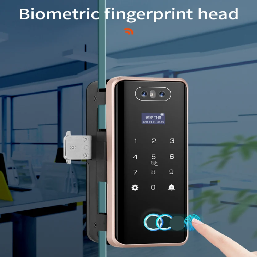 WiFi Glass Door Lock with Face & Fingerprint Access_CODE: GLS8